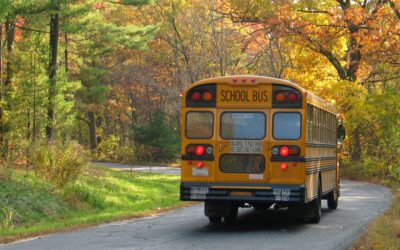 New Website Launched